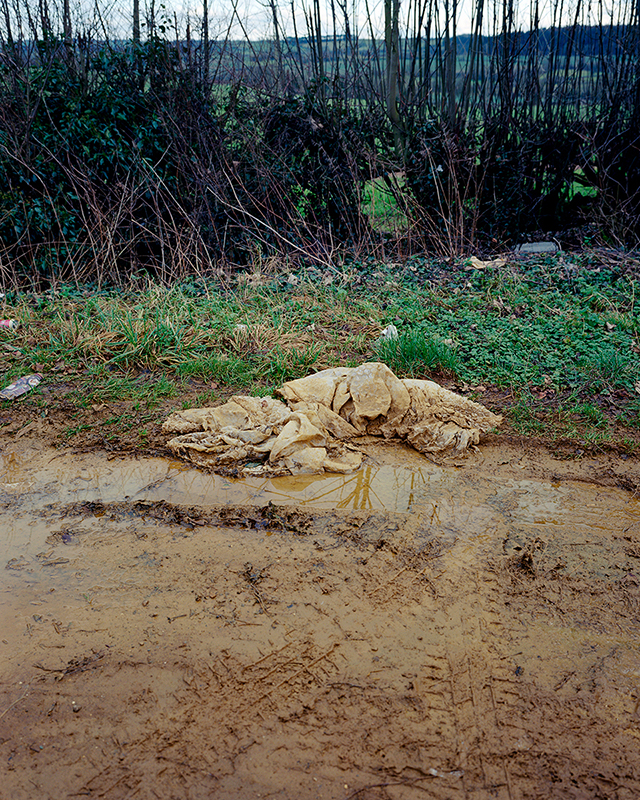Image 17